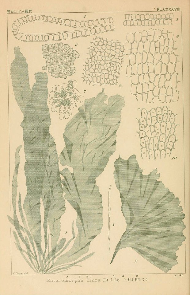 n245_w1150