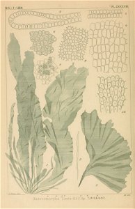 n245_w1150