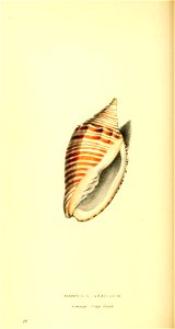 n197_w1150
