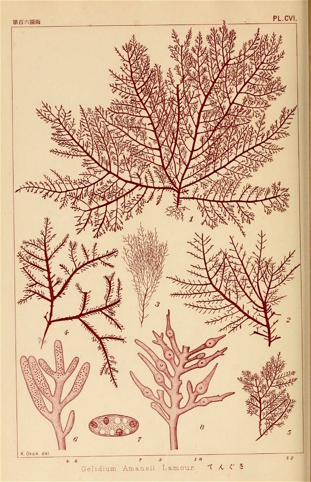 n43_w1150