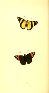 n185_w1150