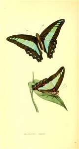n269_w1150