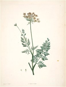 n158_w1150