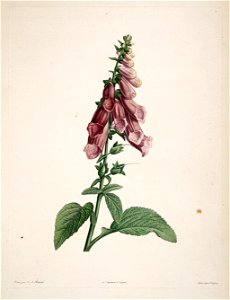 n157_w1150