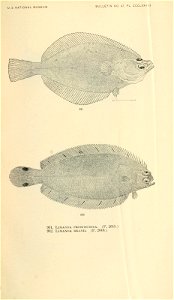 n1040_w1150