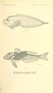 n920_w1150