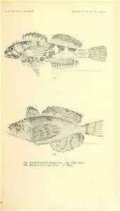 n890_w1150