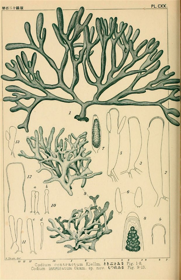 n117_w1150