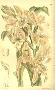 n102_w1150