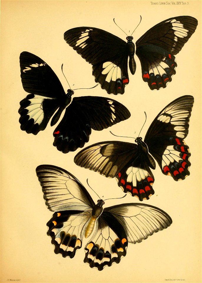 n82_w1150