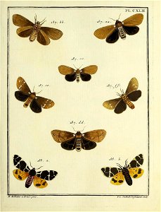 n122_w1150