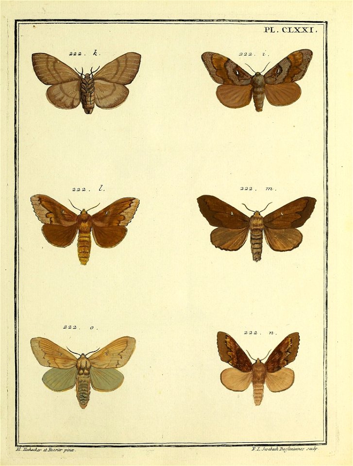 n180_w1150