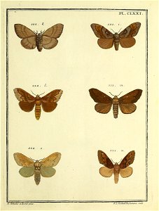 n180_w1150