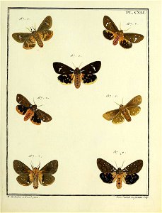 n120_w1150