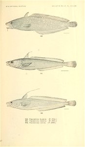 n1014_w1150