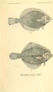n1044_w1150