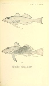 n924_w1150