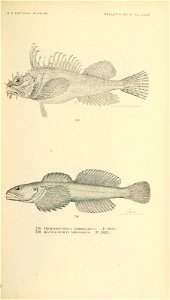 n894_w1150
