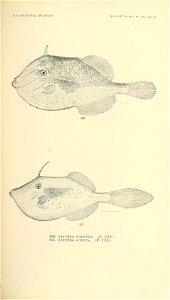 n804_w1150