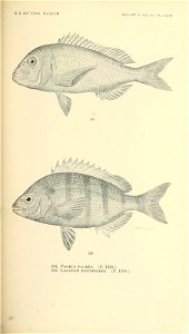 n714_w1150
