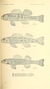 n624_w1150