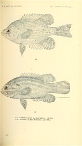 n594_w1150