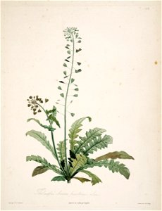 n143_w1150