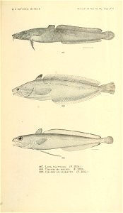 n1012_w1150