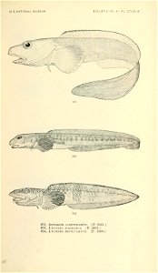 n982_w1150