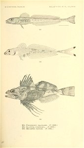 n862_w1150