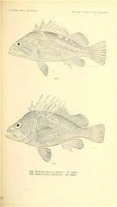 n832_w1150