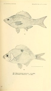 n742_w1150