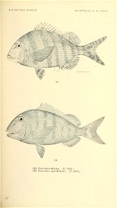n712_w1150
