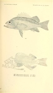 n830_w1150