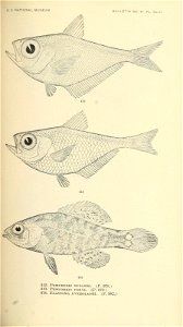 n590_w1150