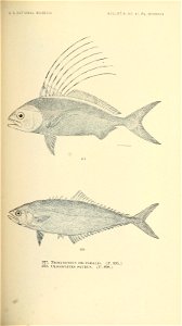 n560_w1150