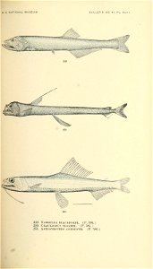 n470_w1150