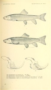 n350_w1150