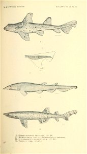 n290_w1150