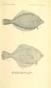 n1038_w1150