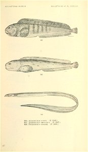 n978_w1150