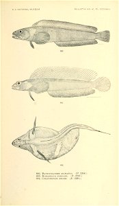 n948_w1150
