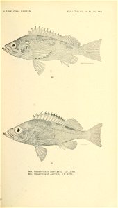 n828_w1150