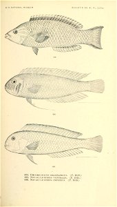 n766_w1150