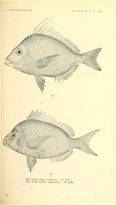 n706_w1150