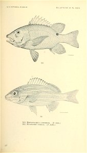 n676_w1150