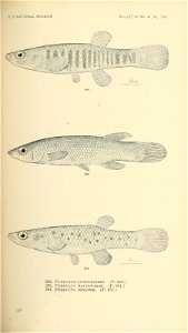 n496_w1150