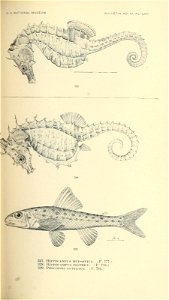 n526_w1150