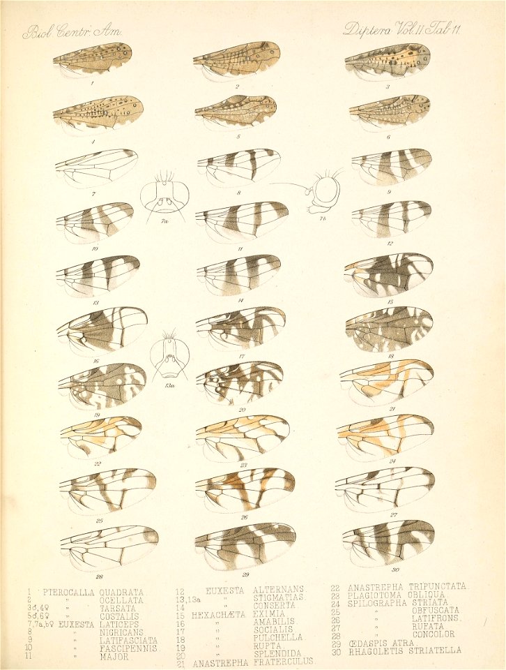 n511_w1150