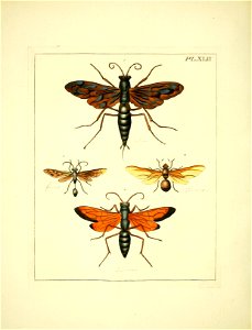 n175_w1150